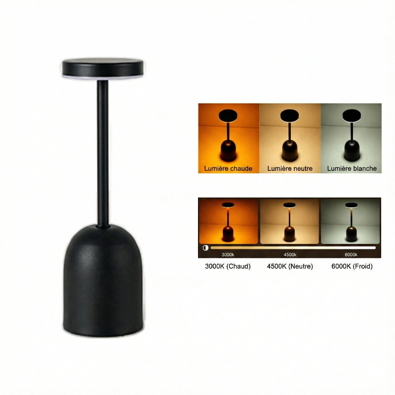 Températures de la Lampe de Bureau LED à Intensité Variable