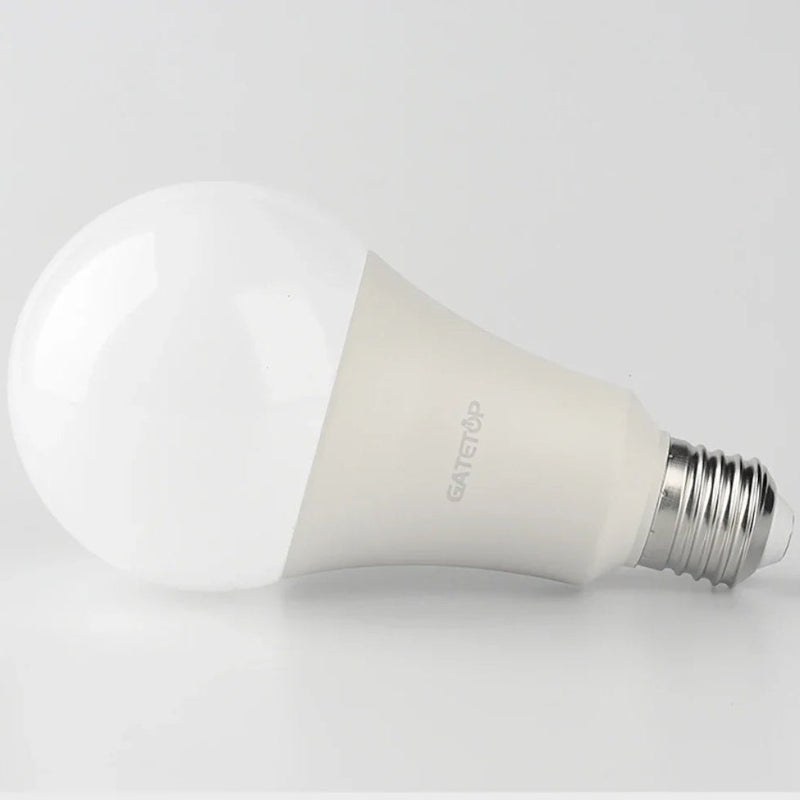 Ampoule LED E27