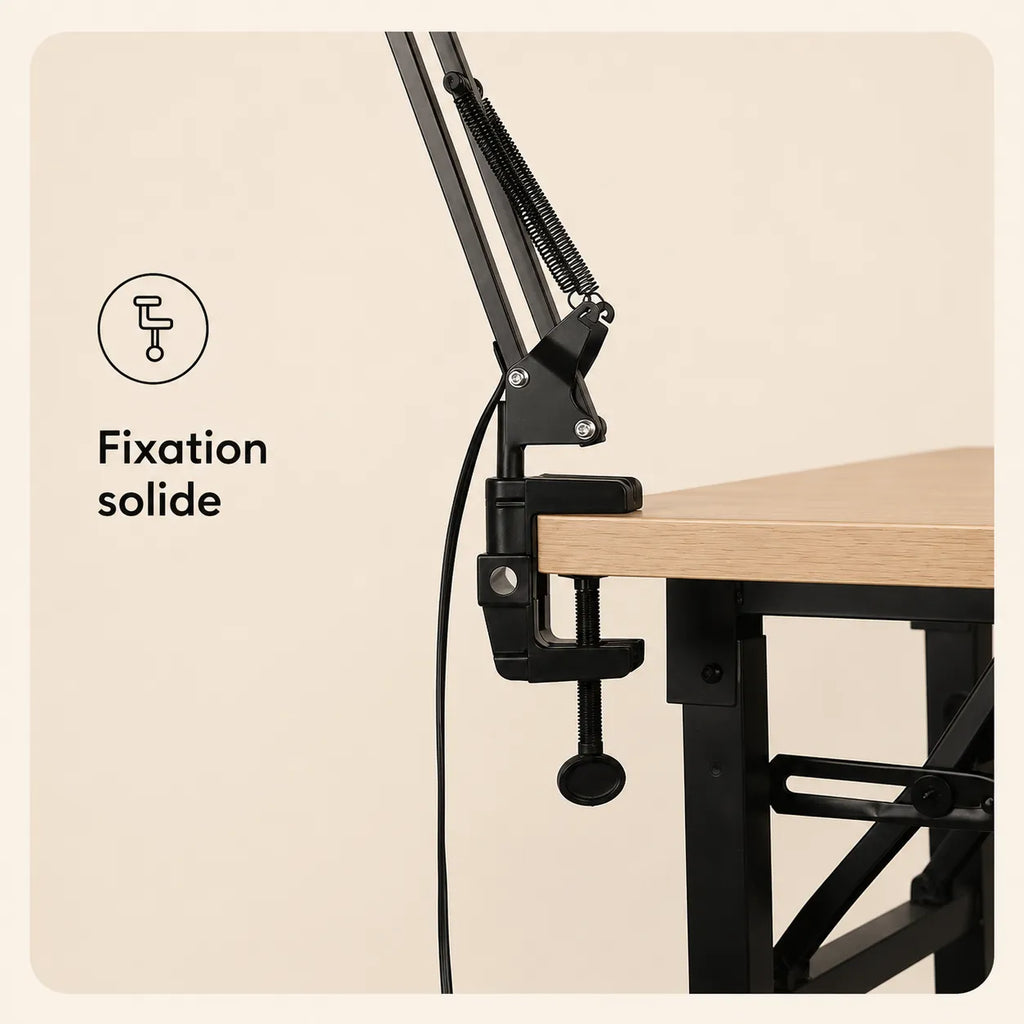 Lampe de Bureau Architecte à Pince