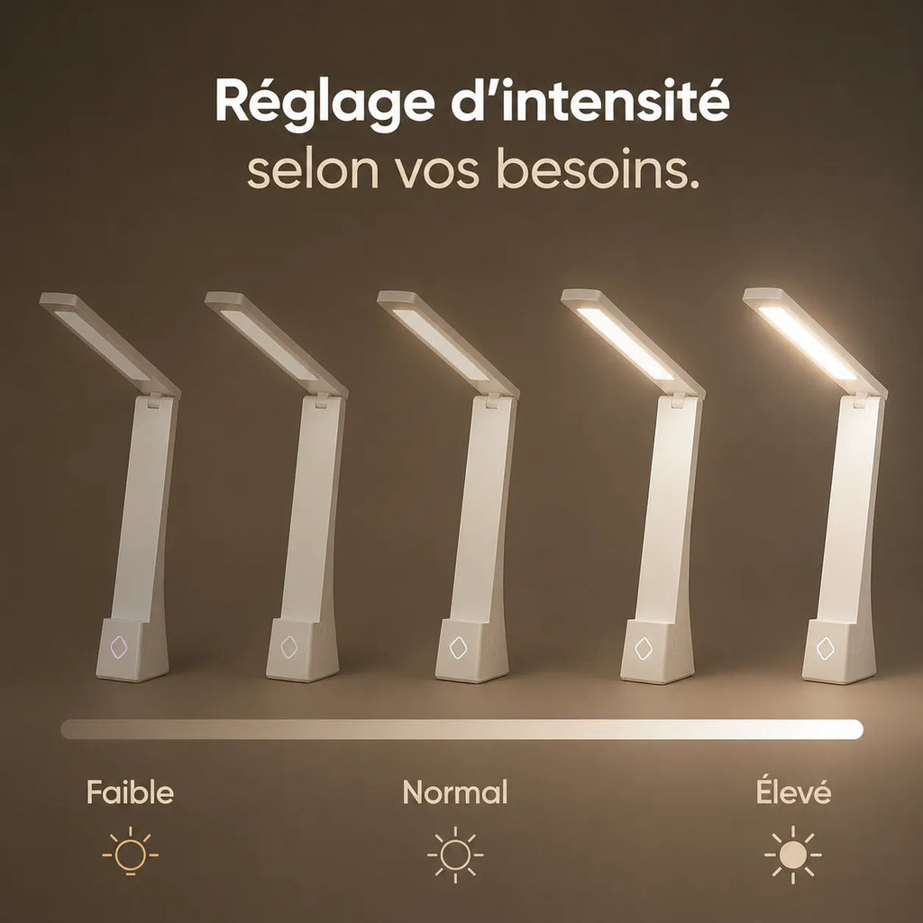 Lampe de Bureau LED Rechargeable 120°