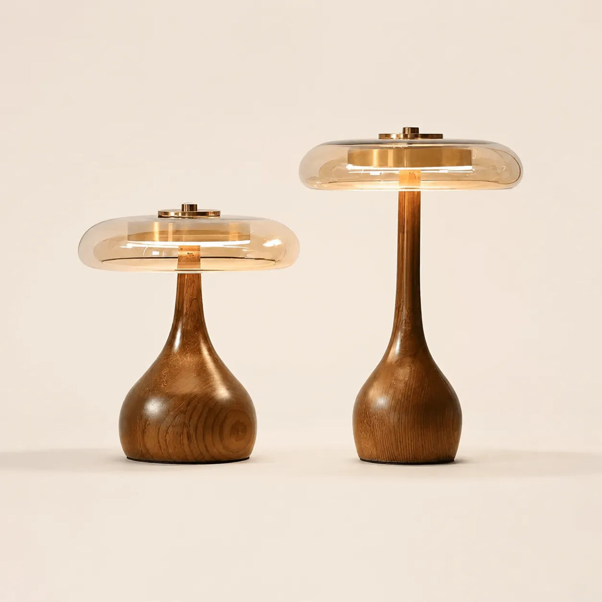 Lampe de Bureau Vintage Verre & Bois