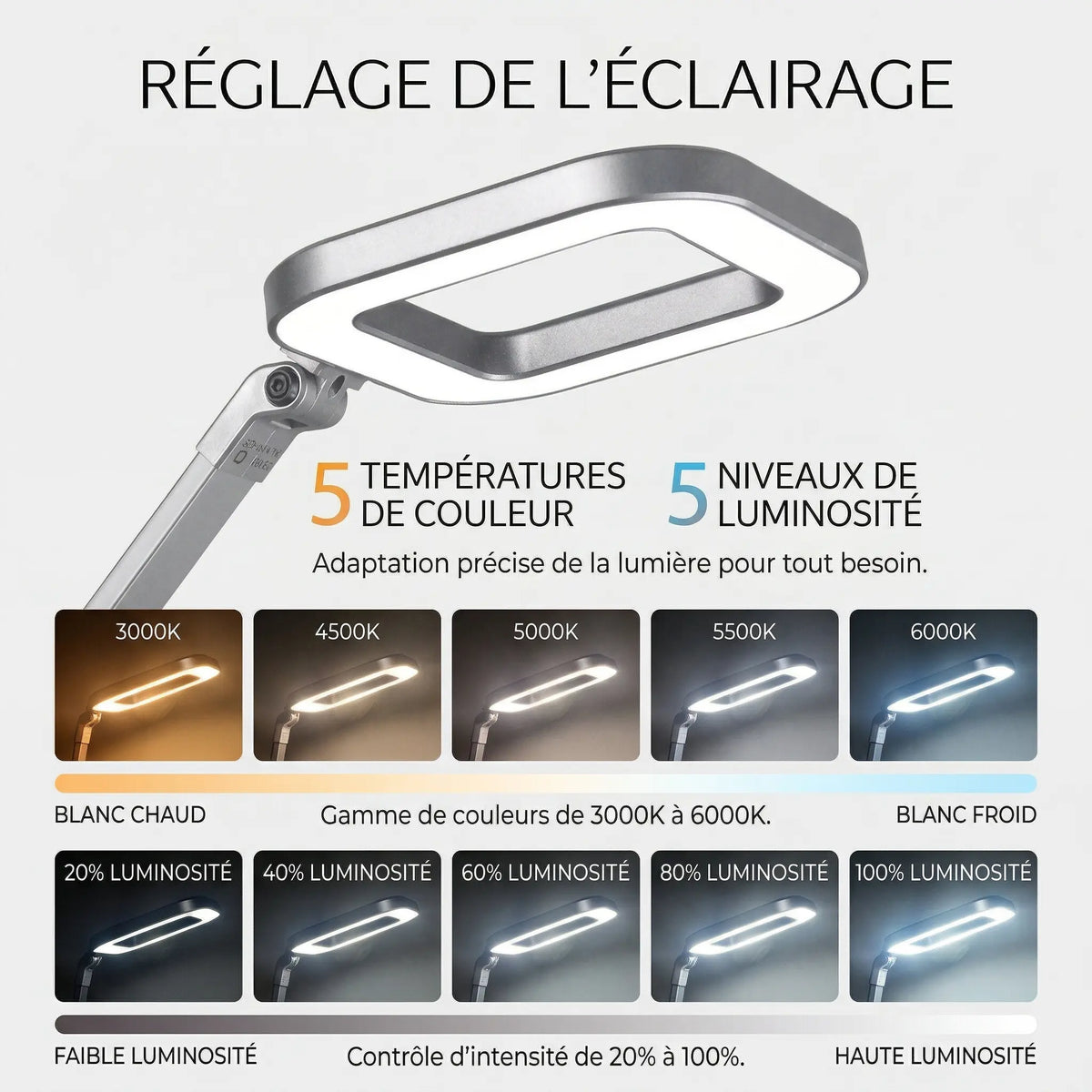 Températures de couleur de la Lampe de Bureau LED Apex
