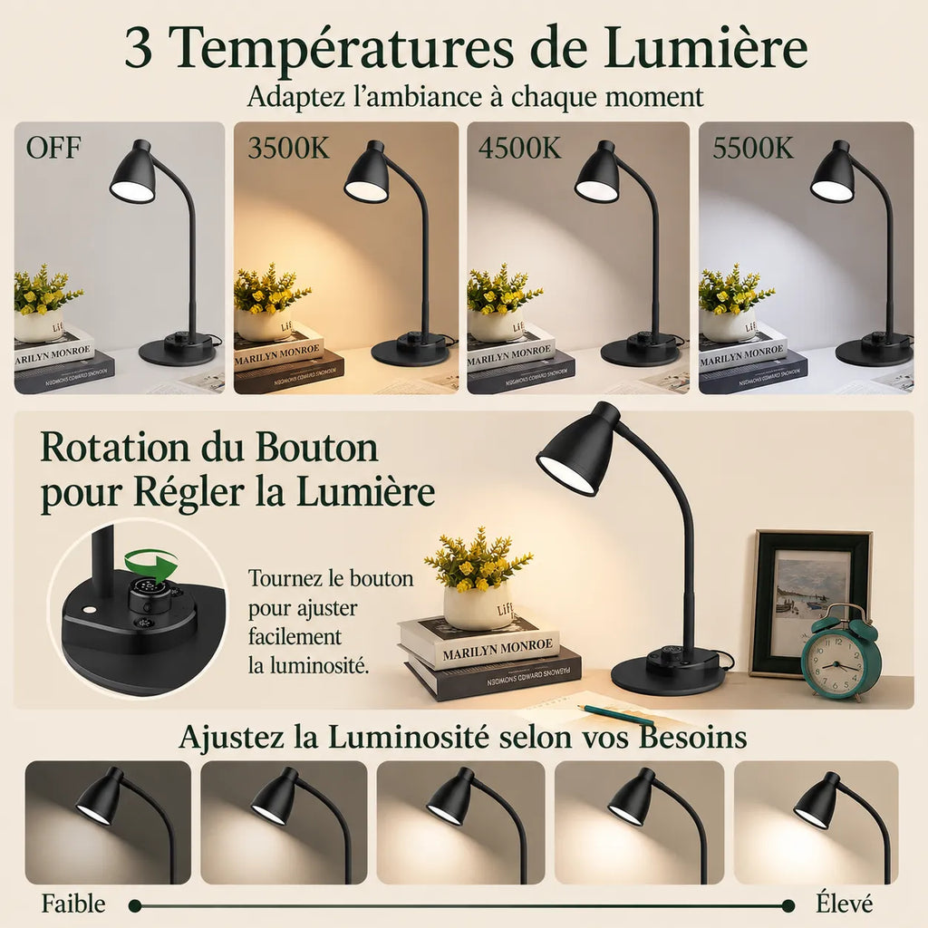 Lampe de bureau LED Classique