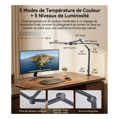 Fiche de la Lampe de Bureau Articulée à Pince Métallique 