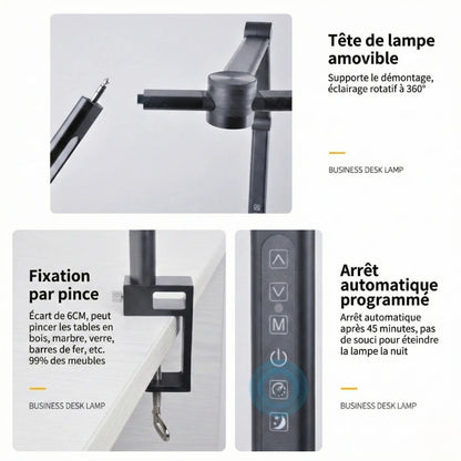 Deuxième fiche de la Lampe de Bureau Articulée à Pince Métallique 