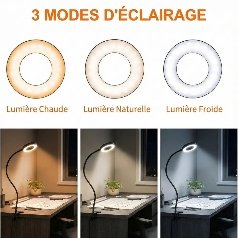 Modes d'éclairage de la Lampe de Bureau LED USB Col de Cygne à Pince