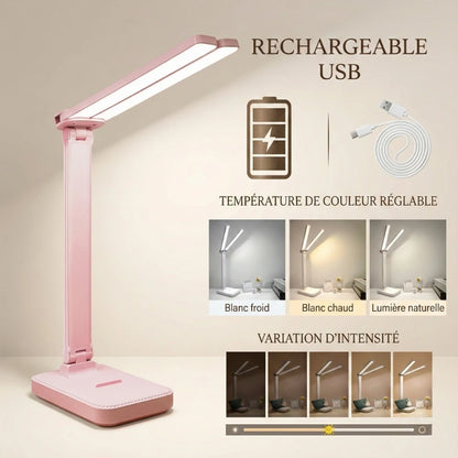 Options différentes de la Lampe de Bureau LED Rose Sans Fil