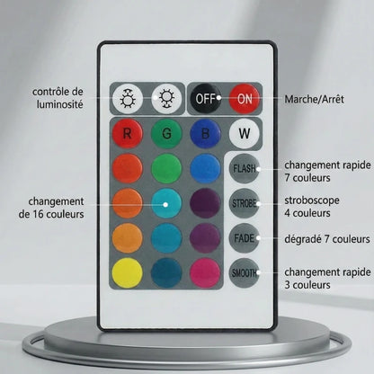 Télécommande de la Lampe de Bureau LED RGB